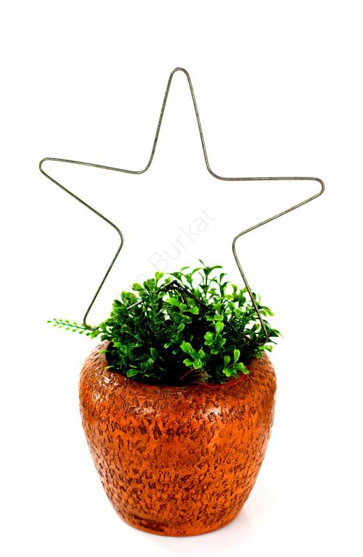 Gwiazdka do doniczki 1457