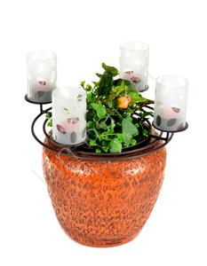 Świecznik do doniczki ogrodu 5952